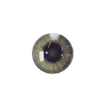 لنز چشم رنگی آی ریو Eyereve شماره 10 مدل Marron