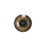 لنز چشم رنگی آی ریو Eyereve شماره 13 مدل Amazoon Hazel
