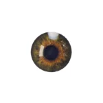 لنز چشم رنگی آی ریو Eyereve شماره 15 مدل Floraans Hazel