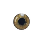لنز چشم رنگی آی ریو Eyereve شماره 16 مدل Cappuccino