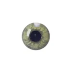 لنز چشم رنگی آی ریو Eyereve شماره 17 مدل Mel Green
