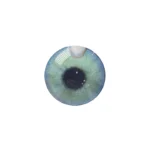 لنز چشم رنگی آی ریو Eyereve شماره 19 مدل Hollywood