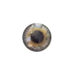 لنز چشم رنگی آی ریو Eyereve شماره 3 مدل Zeus