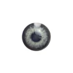 لنز چشم رنگی آی ریو Eyereve شماره 4 مدل Pearl Gray