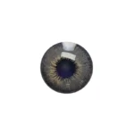لنز چشم رنگی آی ریو Eyereve شماره 6 مدل Pixi Gray