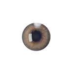 لنز چشم رنگی آی ریو Eyereve شماره 9 مدل Sun Kiss